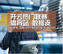 研发能力标题四