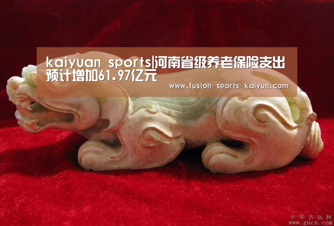 kaiyuan sports|河南省级养老保险支出预计增加6