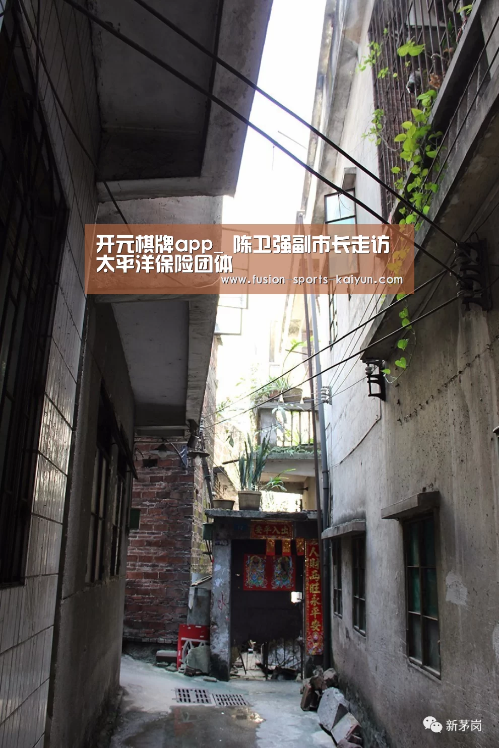 开元棋牌app_
陈卫强副市长走访太平洋保险团体