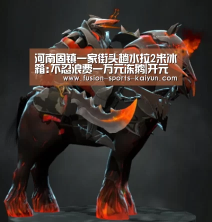 河南固镇一家街头趟水拉2米冰箱:不忍浪费一万元冻鹅|开元棋牌app(图2) kaiyuan sports
