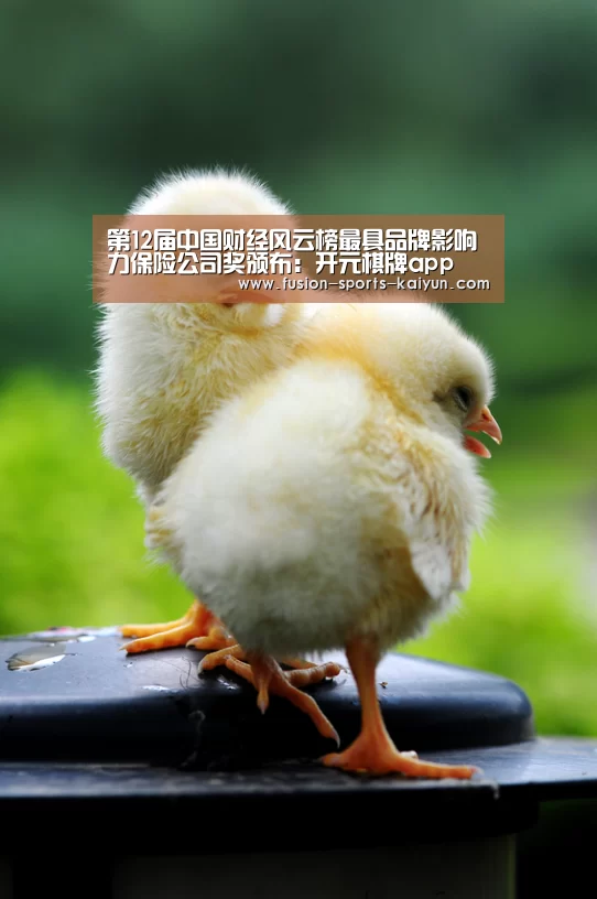 第12届中国财经风云榜最具品牌影响力保险公司奖颁布:开元棋牌app(图4) 开元棋牌app
