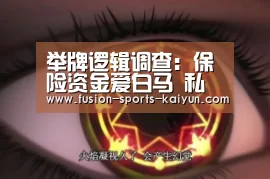 举牌逻辑调查:保险资金爱白马 私募喜捡“壳”【开元棋牌】(图3) kaiyuan sports