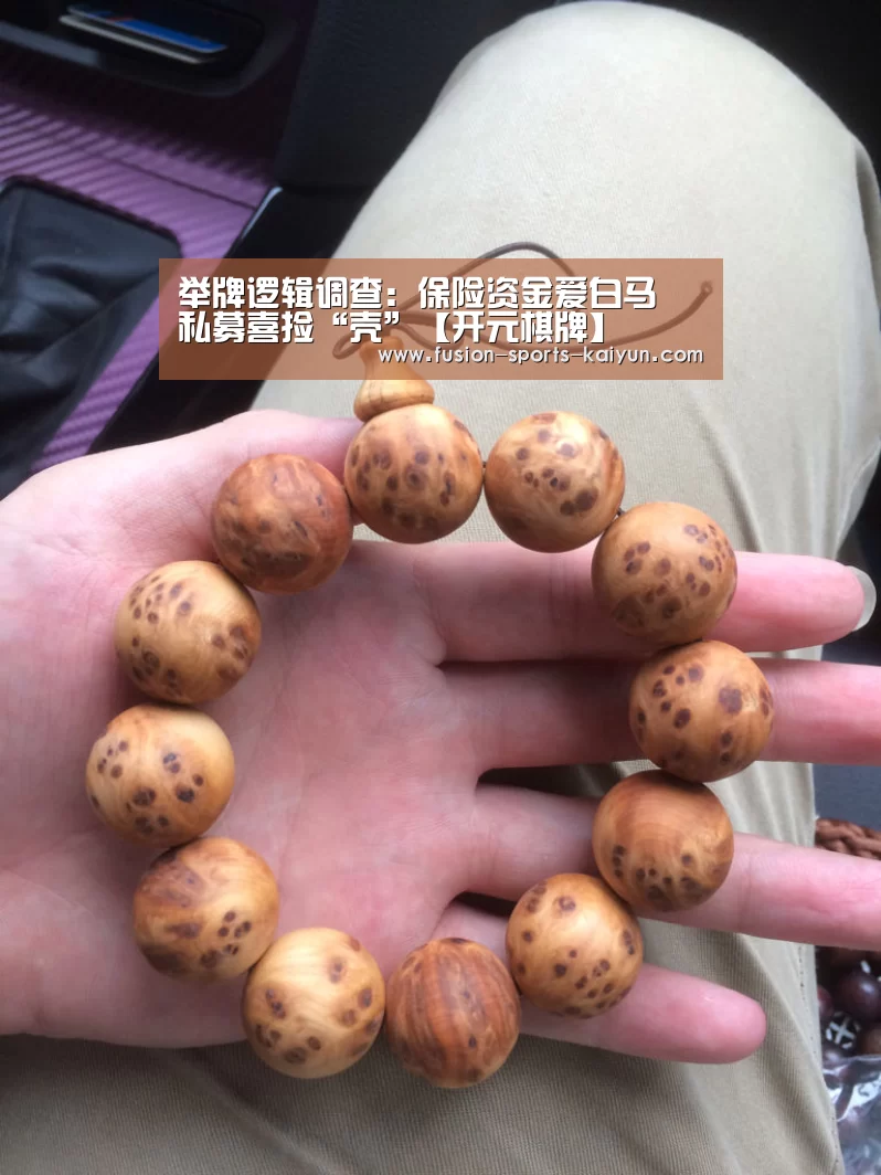 举牌逻辑调查:保险资金爱白马 私募喜捡“壳”【开元棋牌】(图2) 开元棋牌